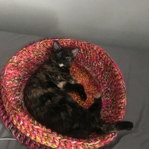 Meet your Posher, Erika